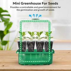 Seed Starter Tray Plant Starter Kit and Base Mini Greenhouse Germination Kit for Seeds Growing Starting