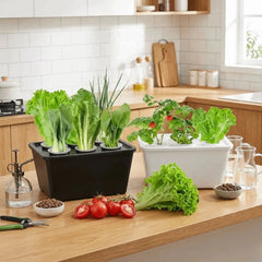6 Holes Hydroponic Grower Kit Self Watering Plastic Nursery Pots Seedling Pots Thicken Versatile Cultivation Box