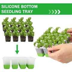  5/10 Green Seed Starter Tray Box (60/120 cell trays in total) Seed entry tray Plant entry kit