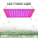 LED Plant Grow Light 169LEDs Full Spectrum Hydroponic Greenhouse Plants Growing Lamp Veg Flower Indoor Ultrathin Panel Phytolamp
