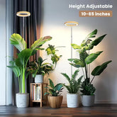 LED Plant Grow Light with 72 LEDs, Full Spectrum, Adjustable Height, for Large Indoor Plants, Auto Timer & Brightness Control