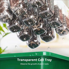 10pcs/5pcs Seedling Trays Seed Starter Kit Mini Propagator Plant Grow Kit with Humidity Vented Domes and Base for Seeds Starting