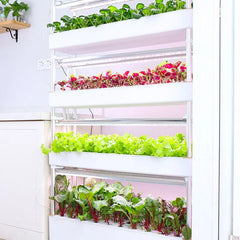 Hydroponics Growing System Vertical Smart Indoor Growing Hydroponic Cultivation Garden Household Planter Plant Cultivation Tower