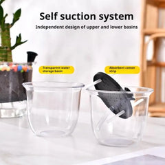 2Pcs Self-Watering Pot, Self-Watering Pots for Indoor Plants, Clear Flower Pots with Deep Reservoirs for Spider Plants, Orchids