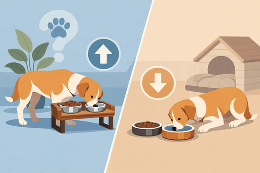 Are Elevated Dog Bowls Better for Dogs?