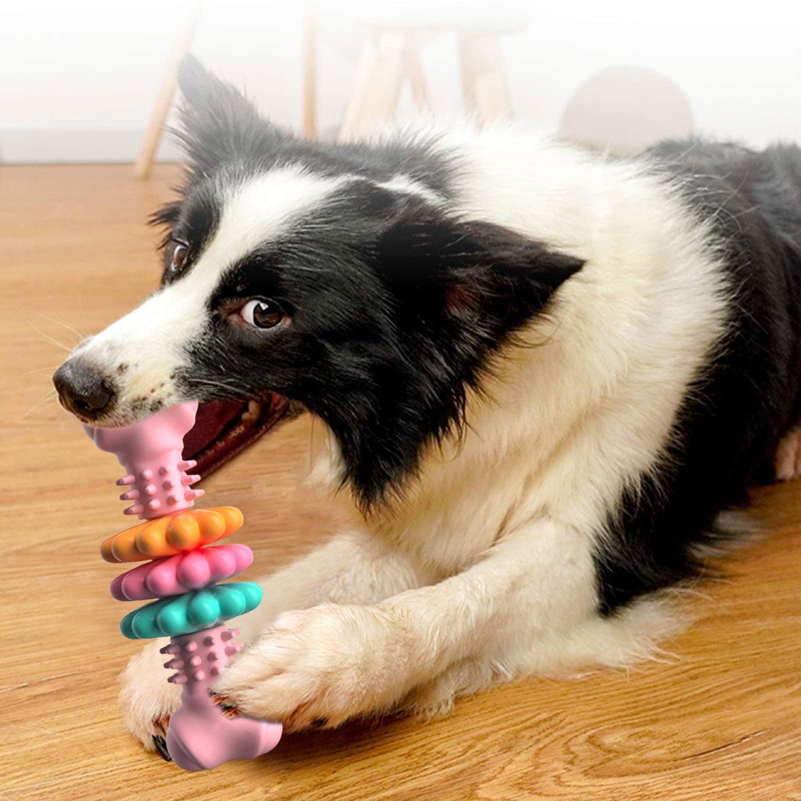 Pet Toys & Playtime