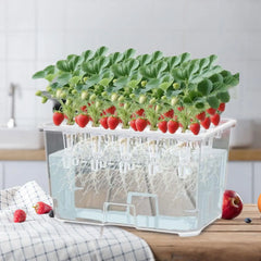 Hydroponic Growing System Kit Versatile Cultivation Planting Box Lightweight Planting Container for Garden Fruits Vegetables