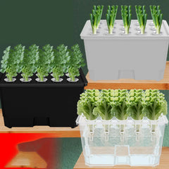 Hydroponic Growing System Kit Versatile Cultivation Planting Box Lightweight Planting Container for Garden Fruits Vegetables