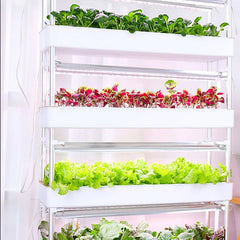 Hydroponics Growing System Vertical Smart Indoor Growing Hydroponic Cultivation Garden Household Planter Plant Cultivation Tower