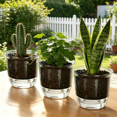 2Pcs Self-Watering Pot, Self-Watering Pots for Indoor Plants, Clear Flower Pots with Deep Reservoirs for Spider Plants, Orchids