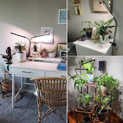 LED Grow Light Plant Lights for Indoor Plants,Full Spectrum With Clip Plant Growing Lamp for Seed Start,3/9/12H Timr