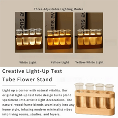 With Wood Stand Plant Propagation Station Adjustable 4 Tube Vases Transparent Propagation Tube Soft Light 3 Color Light