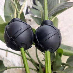 1Pcs Plant Rooting Ball High Pressure Grafting Box Propagation Breeding Rooting Case Nursery Box Garden Plant propagation ball