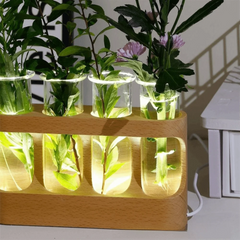 With Wood Stand Plant Propagation Station Adjustable 4 Tube Vases Transparent Propagation Tube Soft Light 3 Color Light