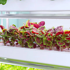 Hydroponics Growing System Vertical Smart Indoor Growing Hydroponic Cultivation Garden Household Planter Plant Cultivation Tower