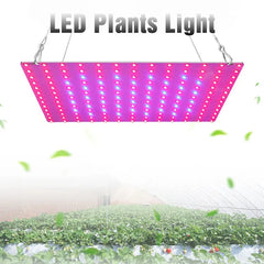 LED Plant Grow Light 169LEDs Full Spectrum Hydroponic Greenhouse Plants Growing Lamp Veg Flower Indoor Ultrathin Panel Phytolamp