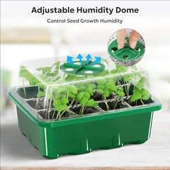 10pcs/5pcs Seedling Trays Seed Starter Kit Mini Propagator Plant Grow Kit with Humidity Vented Domes and Base for Seeds Starting