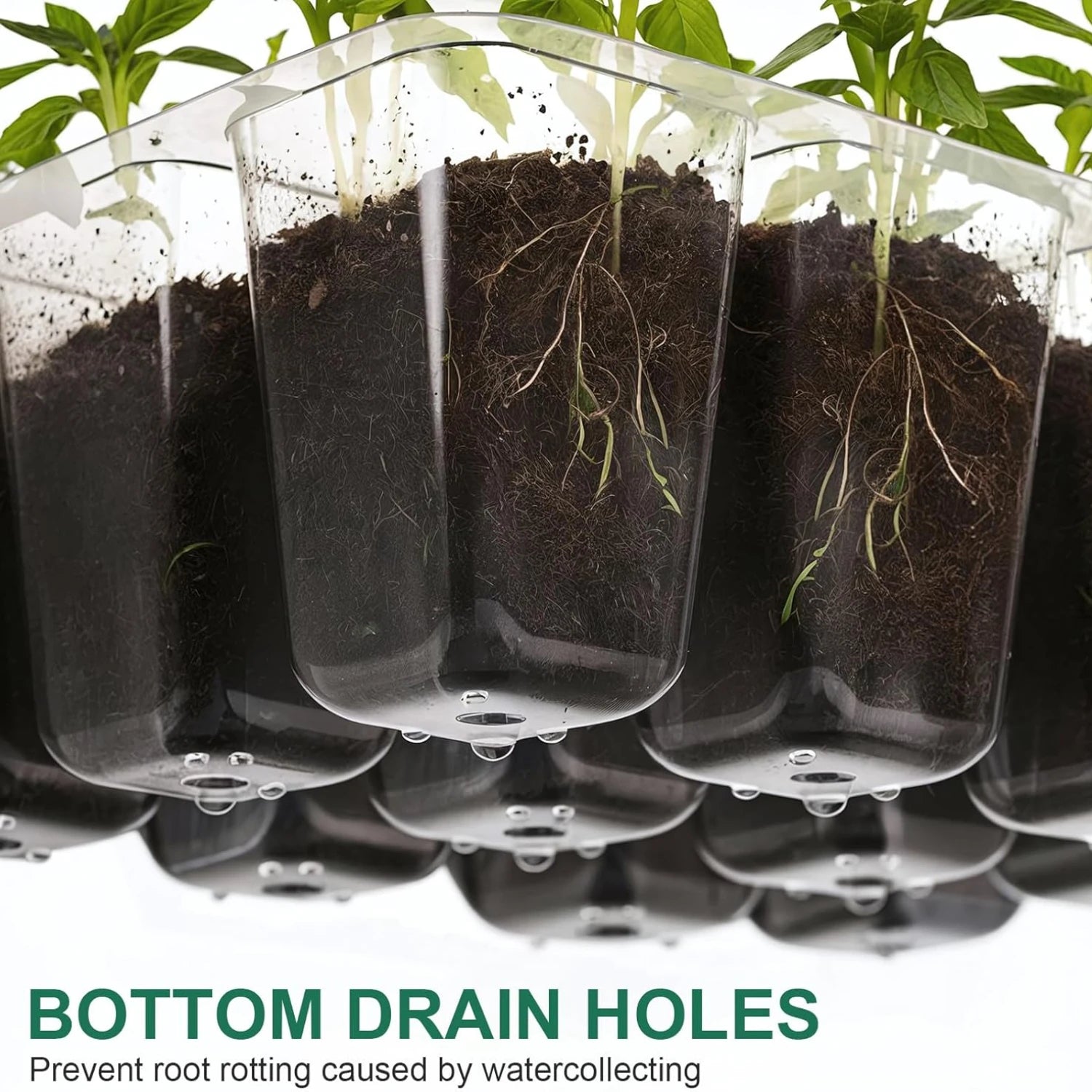 Close-up of seed starter tray with ventilation holes showing bottom drain holes to prevent root rotting and promote healthy plant growth.