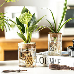 Plant Propagation Station,Hydroponic Acrylic Container Vase Planter Jars for Desks, Houses, Home Garden Decorations and Gifts