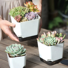 5Pcs Self Watering Plant Pot, Flower Planters, Modern Flower Pots with Water Reservoir, Mini Plant Pots Herb Garden Planter